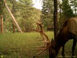 August 2011 058.jpg