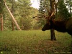 August 2011 060.jpg