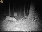 Game cam and new t3i feb 2012 024.jpg