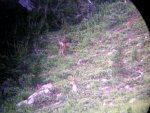 July Scouting 009.jpg
