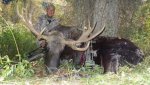 moose.jpg