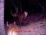 MDGC0065.jpg