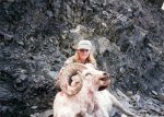 Alaska Ram.jpg
