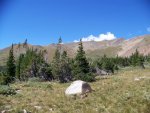 100_0031.jpg