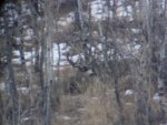 DSCN0705.jpg