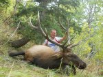 2011 Bull 009.jpg
