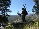 2011 Wyoming Bull & Bulls 018.JPG