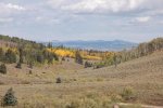 DSC_0070.jpg