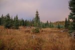 DSC_0092.jpg