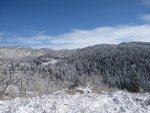 IMG_1319.jpg