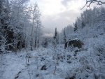 IMG_1315.jpg