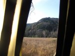 IMG_1297.jpg