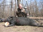 ok hog 13.jpg