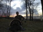 nebraska bird 2012.jpg