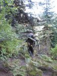 Idaho Elk.jpg