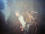 Idaho Elk.jpeg5.jpg