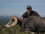 stone sheep B.C. 2009 026.jpg
