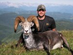 stone sheep B.C. 2009 024.jpg