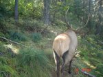 DSC008698.jpg