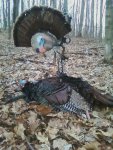 2012 first turkey 4.jpg