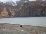 IMG_0089.jpg