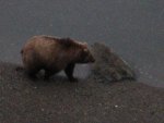 IMG_0120.jpg