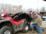 May 2011 bear.jpg