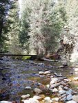 DSCN1430.jpg