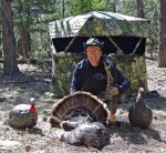 Turkey 2012 Export.jpg