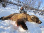 brownbear1.jpg