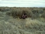 jaci coyote 2.jpg