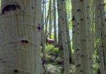 DSC00103.jpg