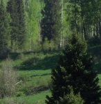 DSC00090.jpg