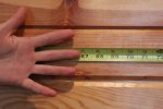 wingspan2.jpg