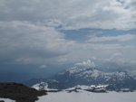 IMG_3658.jpg