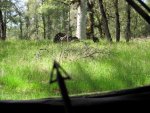 IMG_0088.jpg