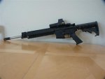 Ar 15 003 (Small).jpg
