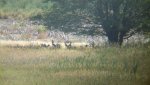 2012-07-19_15-39-38_562.jpg