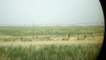 2012-07-05_12-30-31_726.jpg