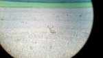 2012-07-02_20-38-20_588.jpg