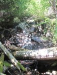 IMG_4036.jpg