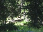 IMG_2569.jpg