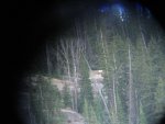 IMG_2565.jpg