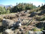 Hunting 2012 054.jpg