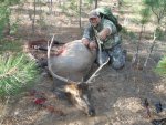 2012 elk season 037.jpg