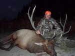 Elk 2.jpg