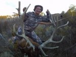 CO elk.jpg