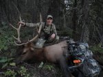2012 Bull 7.jpg