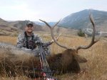 2012 elk.jpg