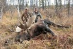 moose.jpg